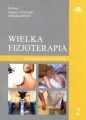 Wielka fizjoterapia. Tom 2 - tantis.pl