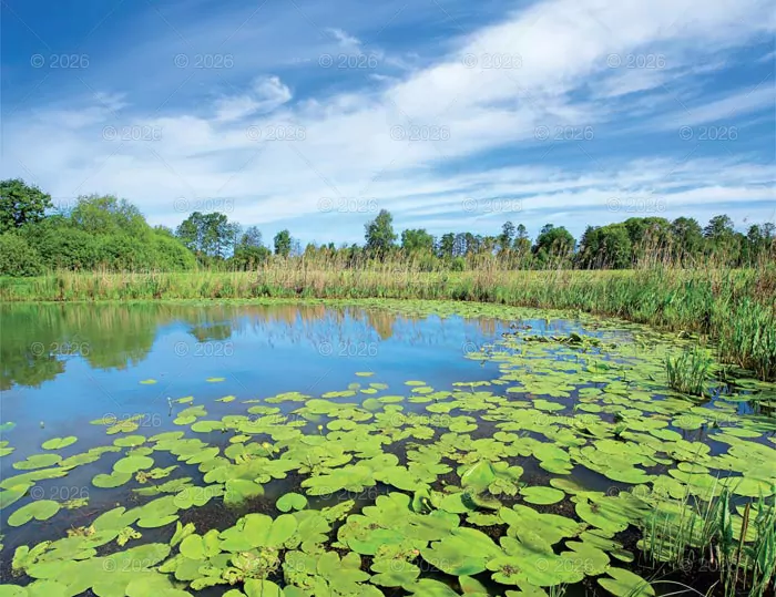 Kalendarz 2026 reklamowy Pejzaże polskie - tantis.pl