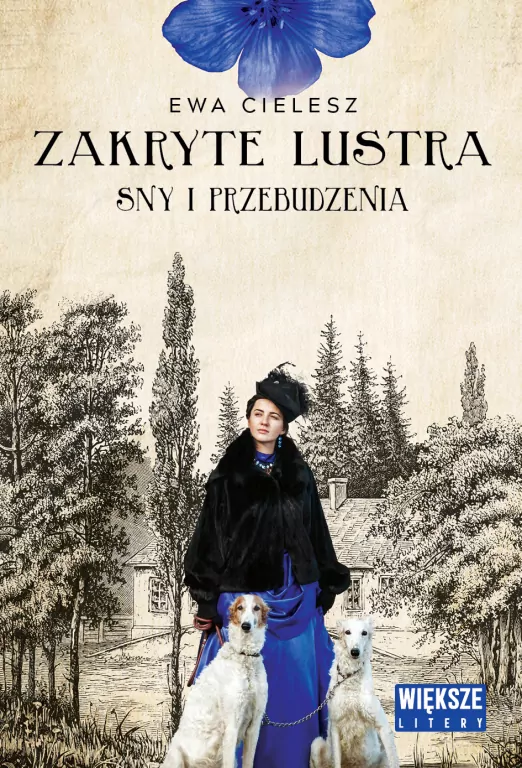 Zakryte lustra T.1 Sny i przebudzenia DL - tantis.pl
