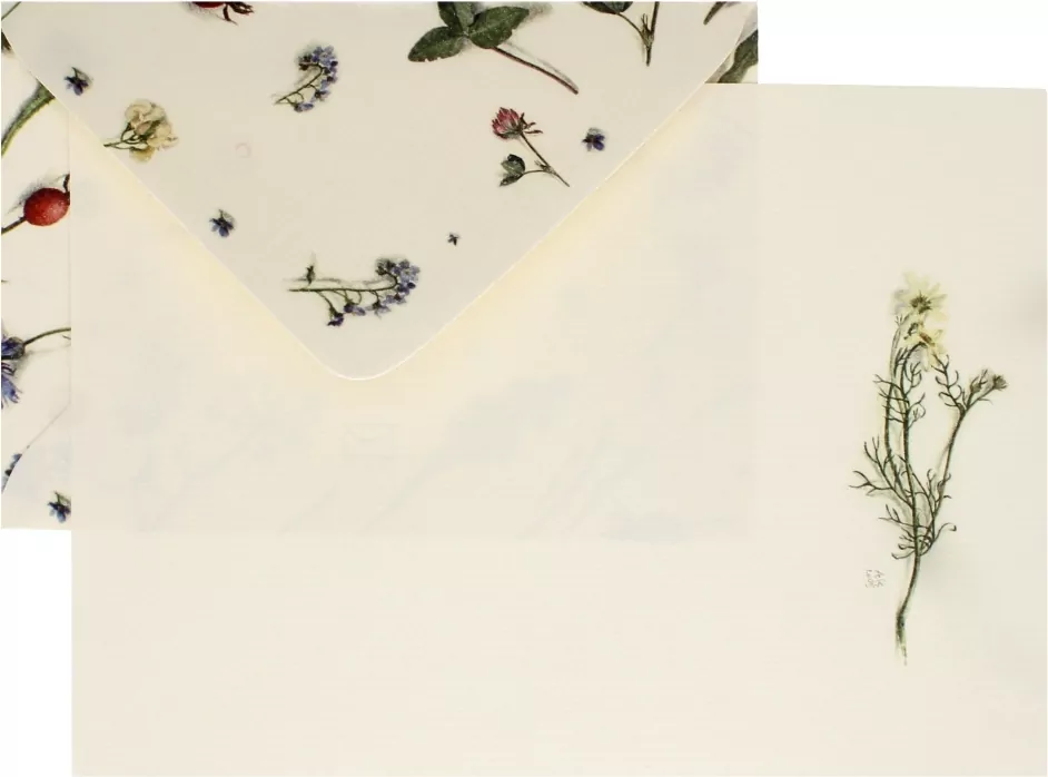 Papeteria A5, 3 koperty/3 kartki. Zielnik - tantis.pl