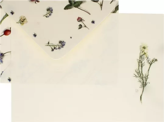 Papeteria A5, 3 koperty/3 kartki. Zielnik