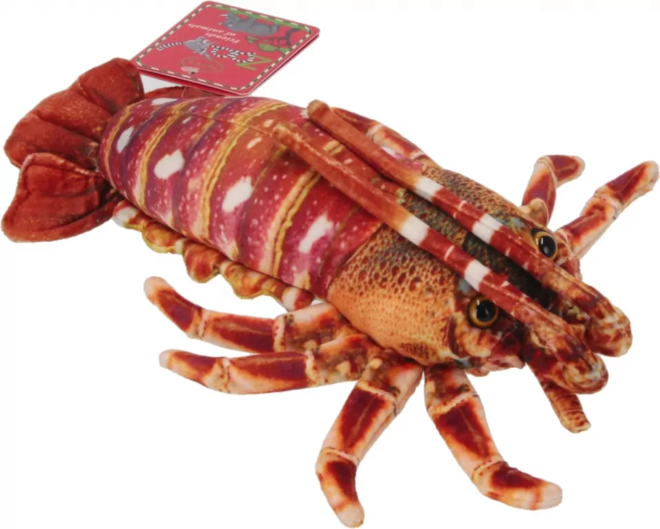 Homar 33cm - tantis.pl