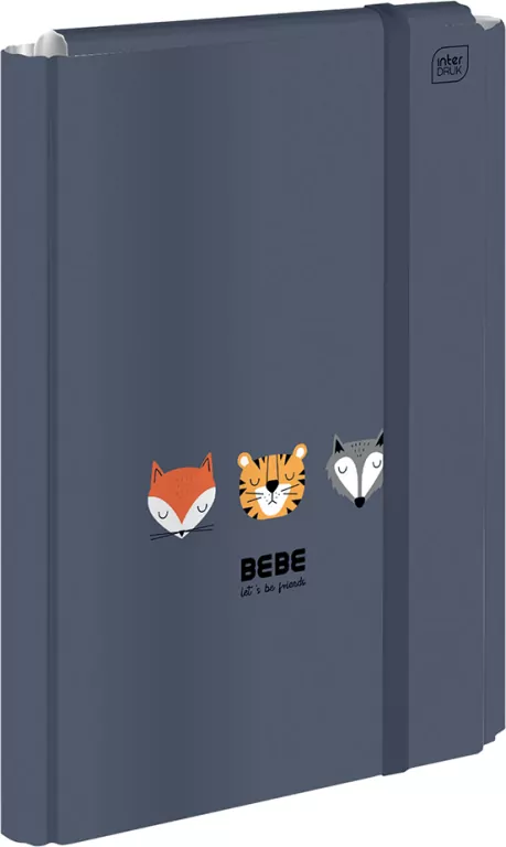 Teczka z gumką A4+ Bebe Kids Boys - tantis.pl