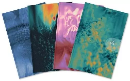 Kalendarz 2026 tygodniowy A6 WTV mix OXFORD - tantis.pl