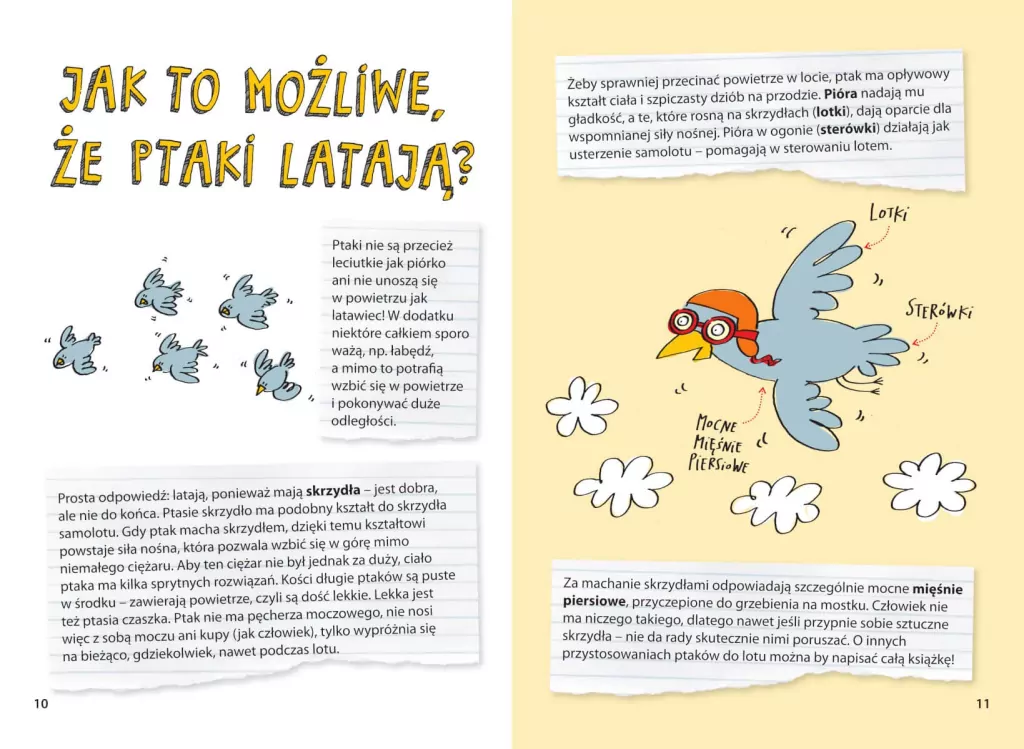 Świat zwierząt. Jak to działa? - tantis.pl