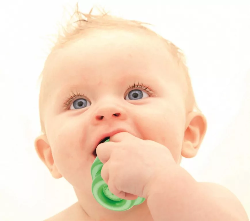 Wiaderko - pies i szczeniaczek Clemmy - tantis.pl