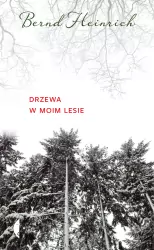 Drzewa w moim lesie
