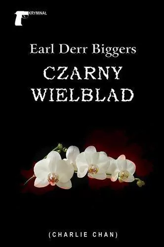 Czarny wielbłąd - tantis.pl