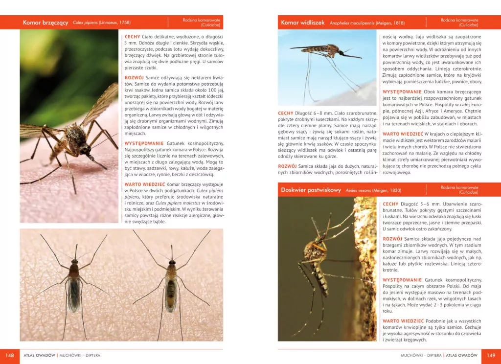 Atlas owadów. 250 polskich gatunków - tantis.pl