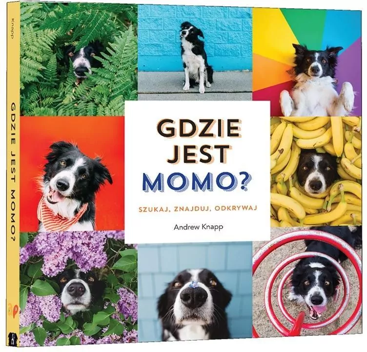 Gdzie jest Momo? - tantis.pl