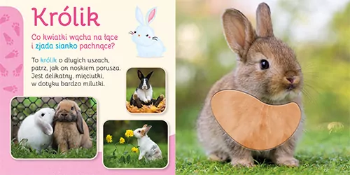 Pupile. Przytul mnie - tantis.pl