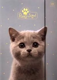 Teczka z gumką A4+ LUX UV Puppy Sign - tantis.pl