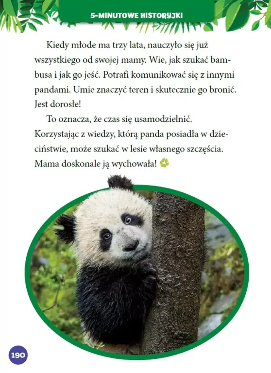 Małe zwierzątka. 5-minutowe historyjki. National Geographic Kids - tantis.pl