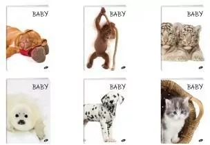 Zeszyt Baby. A5/32K linia. 20 sztuk - tantis.pl