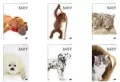 Zeszyt Baby. A5/32K linia. 20 sztuk - tantis.pl