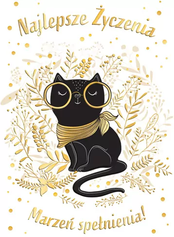 Karnet B6 Kot okularach - tantis.pl