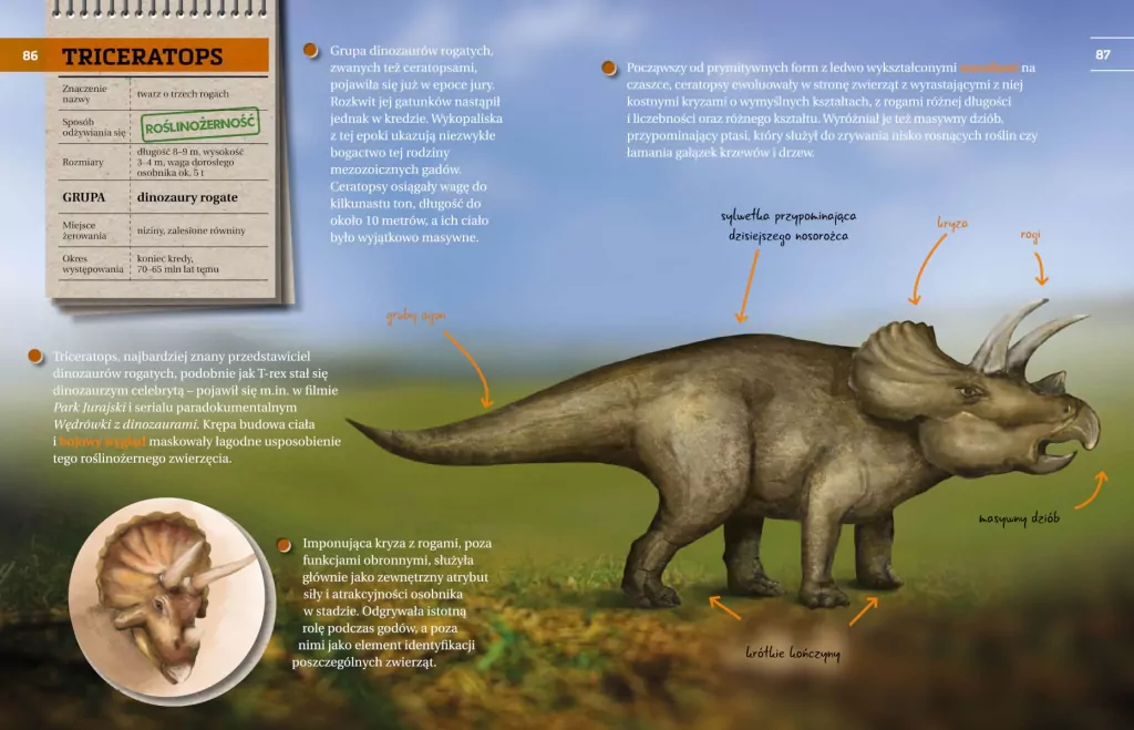 Dinozaury. Przewodnik młodego przyrodnika - tantis.pl