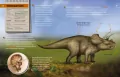 Dinozaury. Przewodnik młodego przyrodnika - tantis.pl