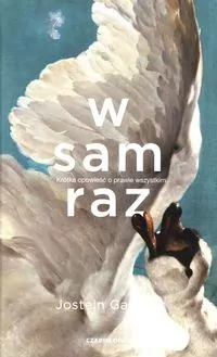 W sam raz. Krótka opowieść o prawie wszystkim - tantis.pl