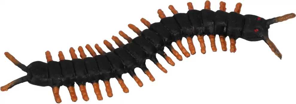 ZWIERZ INSEKTY 8CM MIX MC FOL DISP 48/960 - tantis.pl