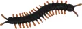 ZWIERZ INSEKTY 8CM MIX MC FOL DISP 48/960 - tantis.pl