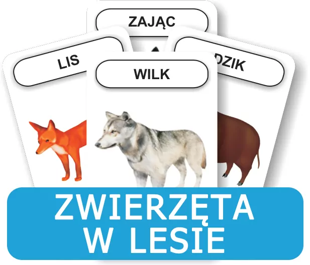 Zwierzęta w lesie. Rozwijamy mowę i myślenie - tantis.pl