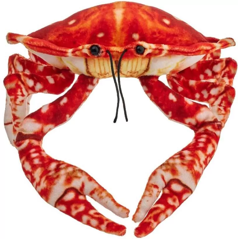 Krab pomarańczowy 26cm - tantis.pl