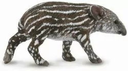 Collecta. Tapir cielę bairda