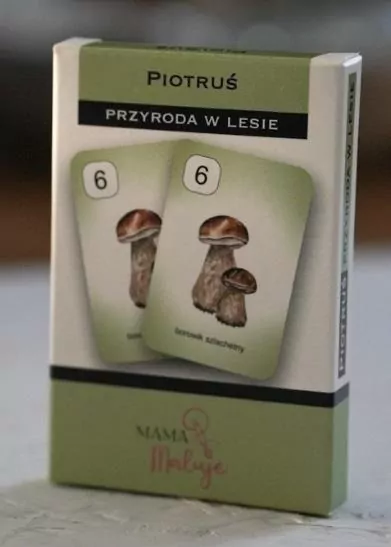 Karty Piotruś - Przyroda w lesie - tantis.pl