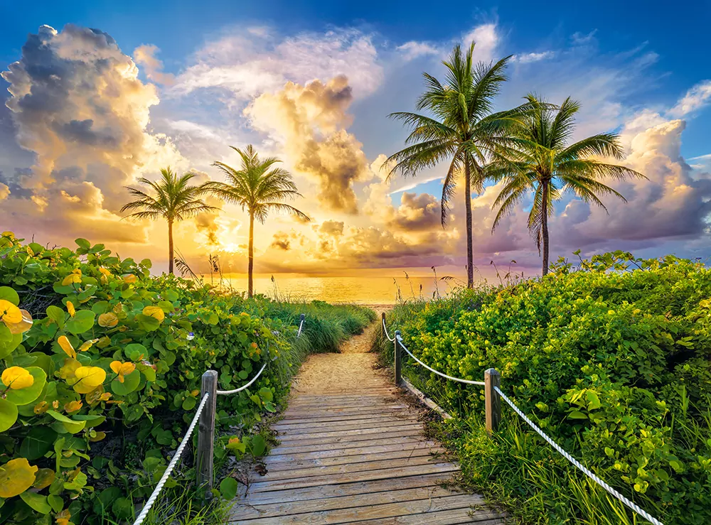 Puzzle 3000. Colorful Sunrise in Miami - tantis.pl