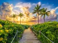 Puzzle 3000. Colorful Sunrise in Miami - tantis.pl