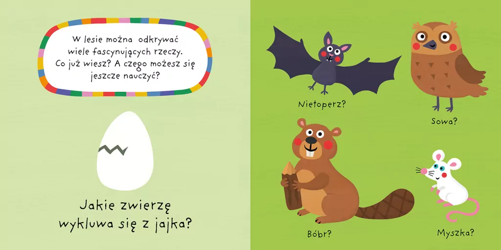 Mój kolorowy quiz. Las - tantis.pl