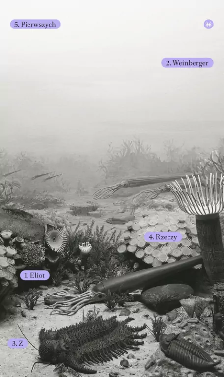 Z rzeczy pierwszych - tantis.pl