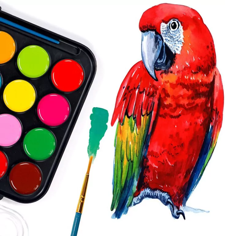 Farby akwarelowe - 28 intensywnych kolorów. STnux - tantis.pl