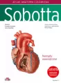 Atlas anatomii człowieka Sobotta. Angielskie miano - tantis.pl