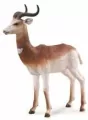 Collecta. Figurka, Gazela - tantis.pl