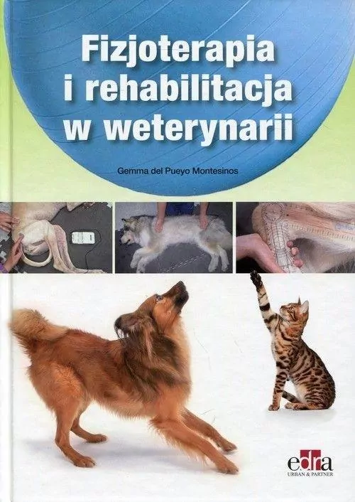 Fizjoterapia i rehabilitacja w weterynarii - tantis.pl