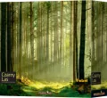 Czarny Las - tantis.pl