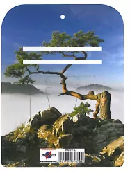 Podstawka pod zdzierak AVANTI