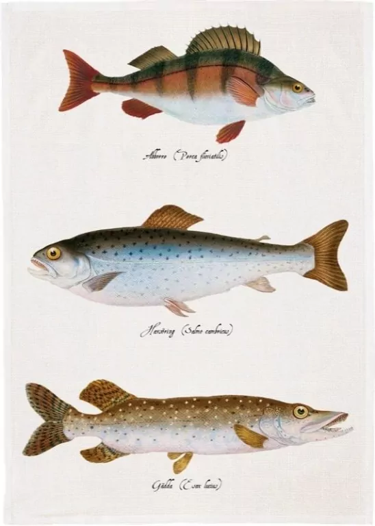 Ręcznik kuchenny - Ryby - tantis.pl