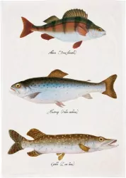 Ręcznik kuchenny - Ryby