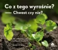 Co z tego wyrośnie? Chwast czy nie? - tantis.pl