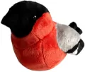 Beppe. Gil zwyczajny 13cm - tantis.pl