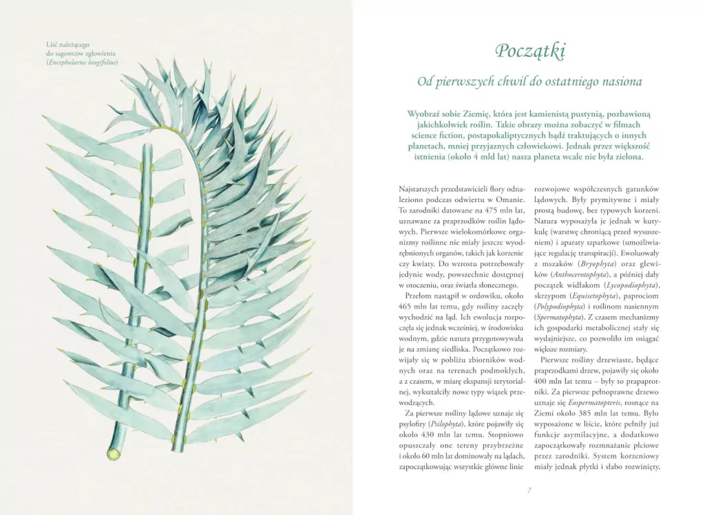 Tajemnicze życie roślin. Fascynujące sekrety i mechanizmy natury - tantis.pl