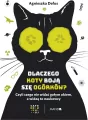 Dlaczego koty boją się ogórków?. Czyli czego nie widać gołym okiem, a widzą to naukowcy - tantis.pl