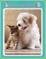 MD Creative. Puzzle w ramce z kolorowanką. Piesek z kotkiem - tantis.pl
