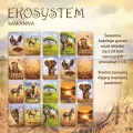 Ekosystem 3. Sawanna - tantis.pl