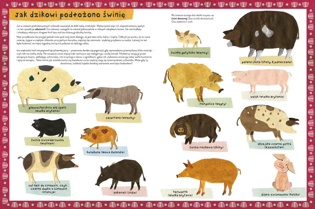 Dzika książka o dzikach i o ich kuzynach - tantis.pl