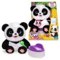 Little Live Pets. Panda - tantis.pl