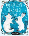 Co to jest ten śnieg - tantis.pl